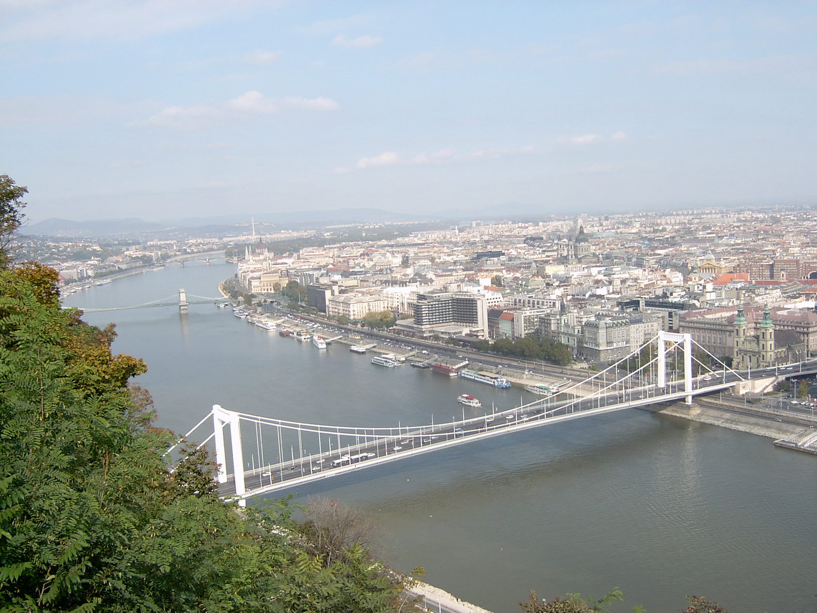 View on Budapest Bridges